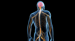 Manahawkin chiropractic  and spinal manipulation benefits for back and neck pain