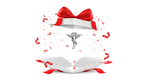 Manahawkin chiropractic care as  a gift