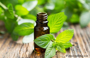 Manahawkin peppermint pain relieving benefits