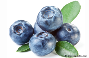 Manahawkin chiropractic and nutritious blueberries